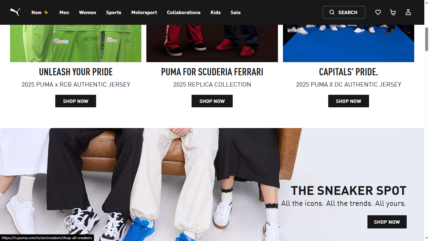Puma logo project